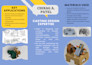 design and develop mechanical and industrial product with engineering expert